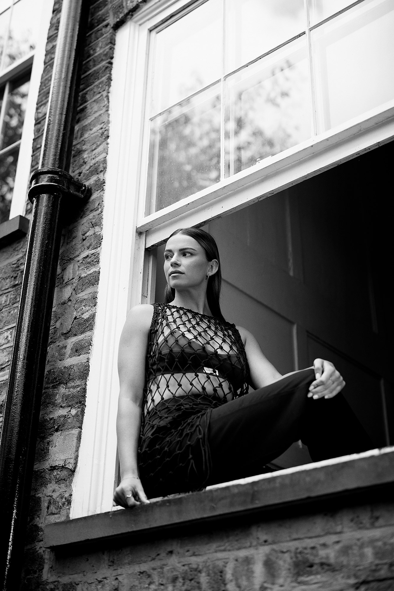 Skye sitting on a window sill looking down