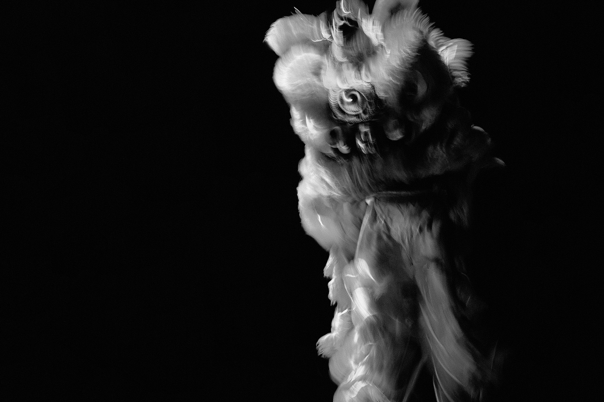 A Chinese New Year model of a lion